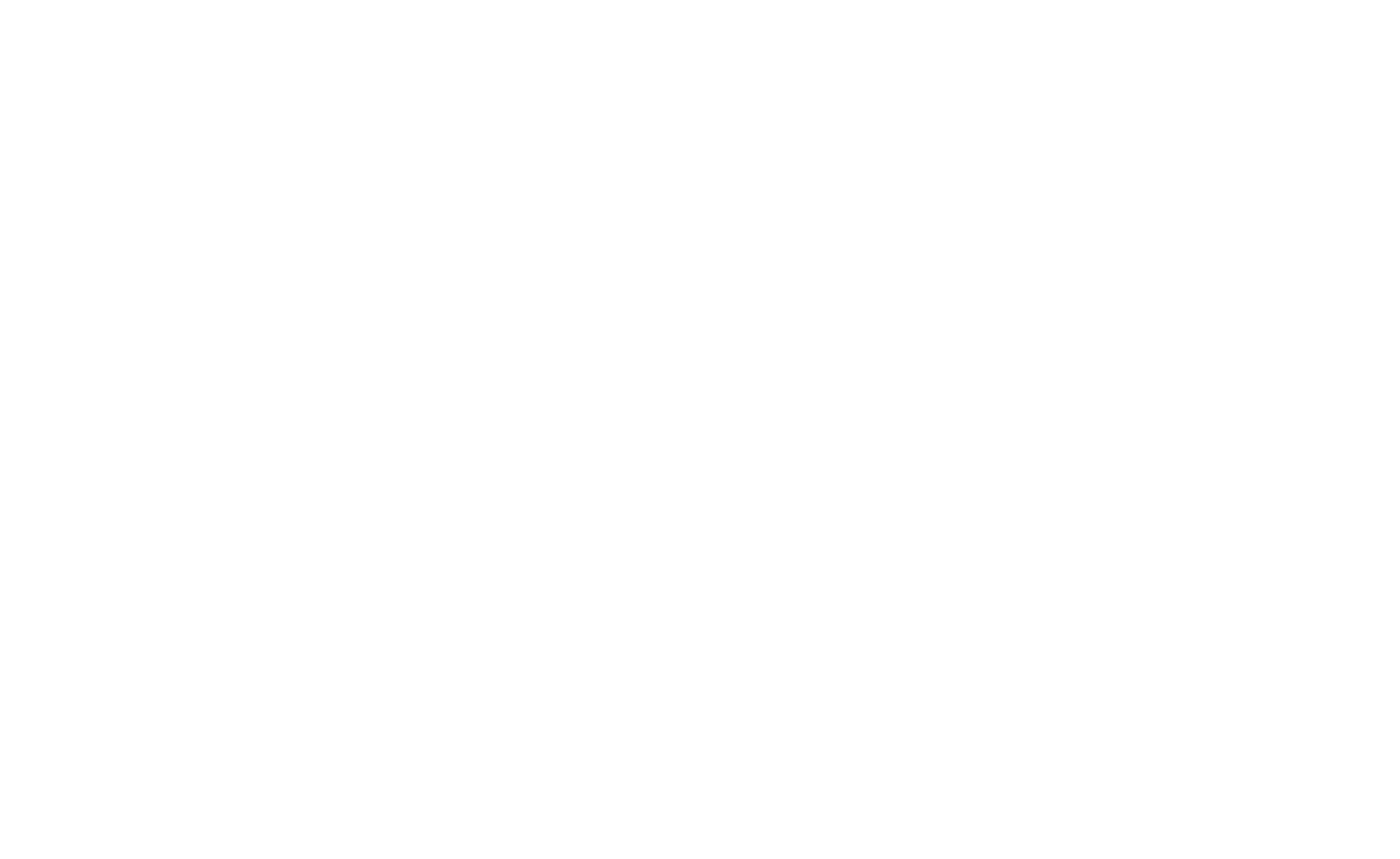 Suli Transport Logo-08